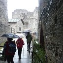 tor (59)